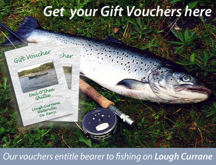get your gift vouchers here. Our vouchers entitle the bearer to fishing on Lough Currane.